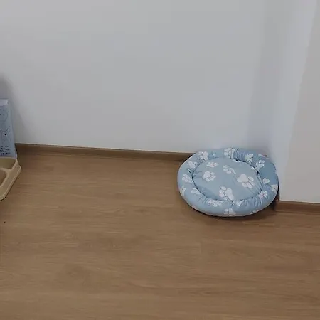 Lejlighed Apartamentul Relaxarii M&f *