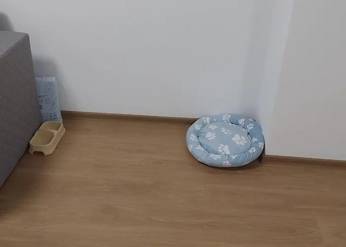 Daire Apartamentul Relaxarii M&f *